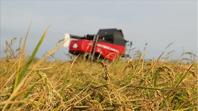 Tarım sigortaları kapsamında kasımda üreticilere 4,2 milyar lira hasar tazminatı ödendi