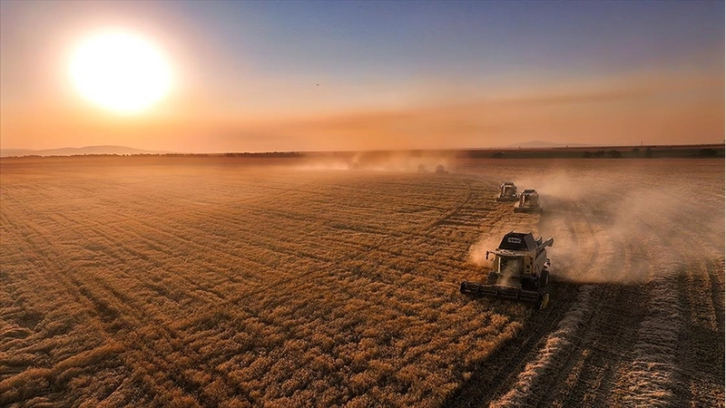 Üreticilere IPARD-III Programı kapsamında kasım döneminde 376,8 milyon lira ödendi