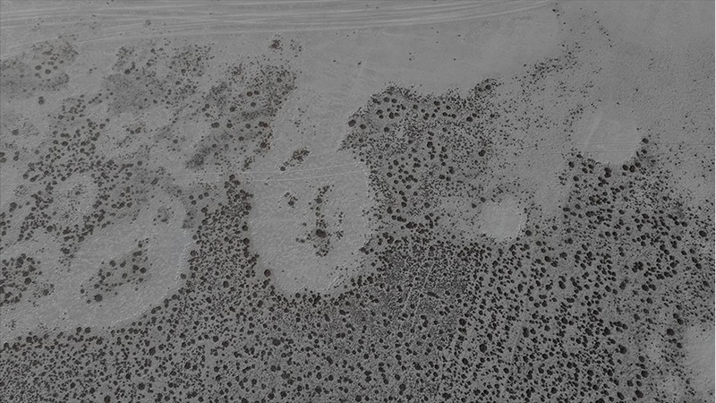 Tamamen kuruyan Seyfe Gölü Kuş Cenneti sessizliğe büründü