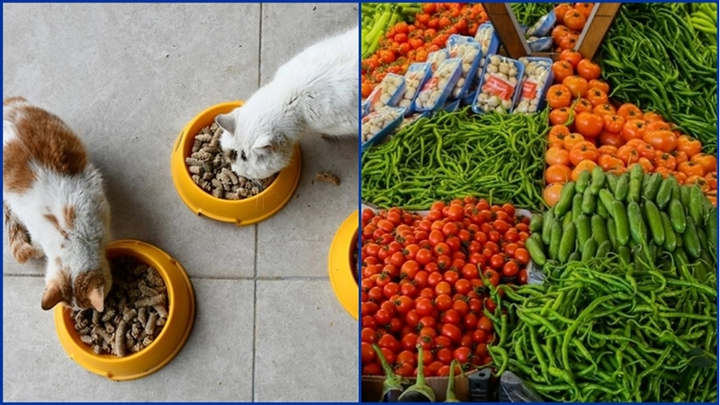 Kasımda fiyatı en çok artan evcil hayvanlarla ilgili ürünler, en fazla düşen taze sebzeler oldu
