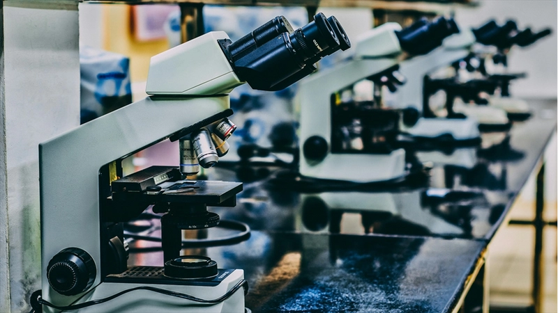 Türk ve Avrupalı araştırmacılar, hastalara yönelik kişiselleştirilmiş tedavileri birlikte geliştirecek