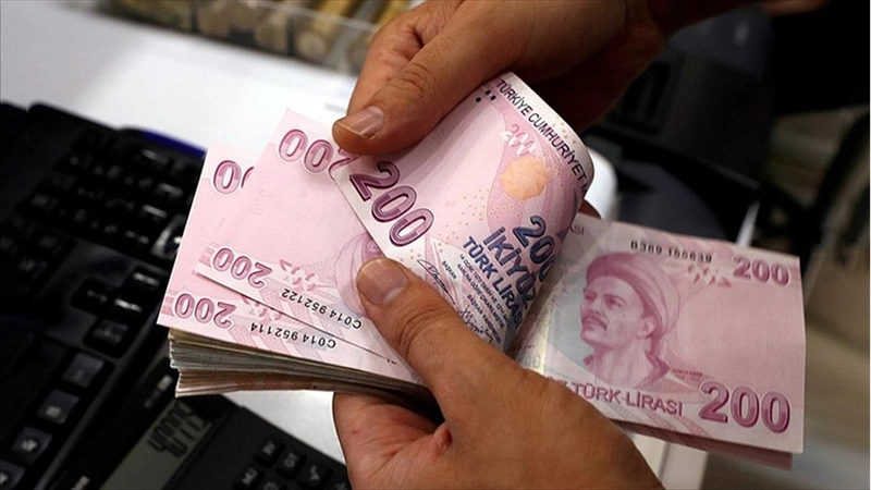 Aralık ayı yaşlı ve engelli aylıkları hesaplara yatırılmaya başlandı