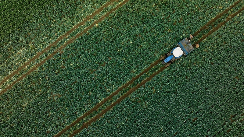 Çiftçilere 1,1 milyar liralık tarımsal destekleme ödemesi bugün yapılacak