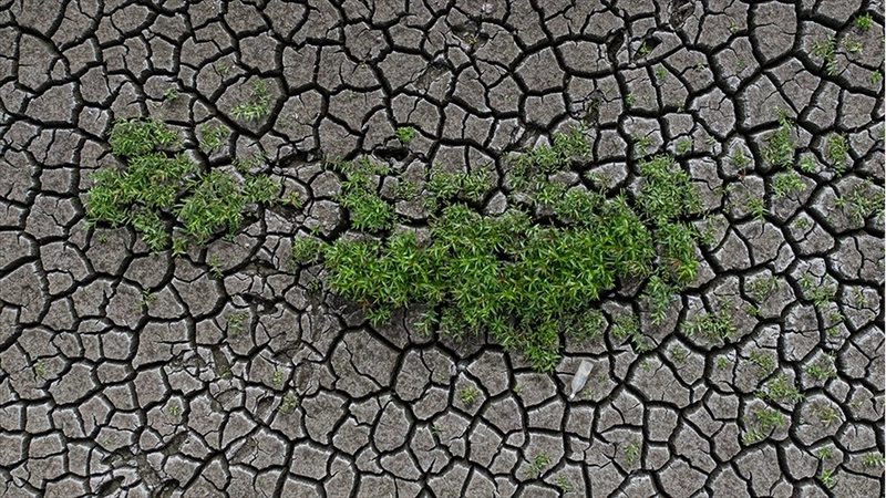 Toprak ile su kaybı, gıdayı ve geleceği doğrudan tehdit ediyor