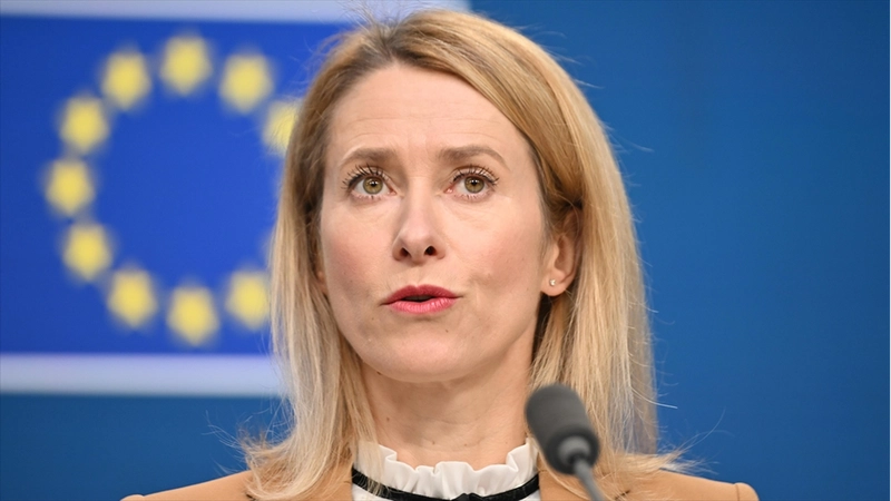 AP milletvekilleri, AB Yüksek Temsilcisi Kallas