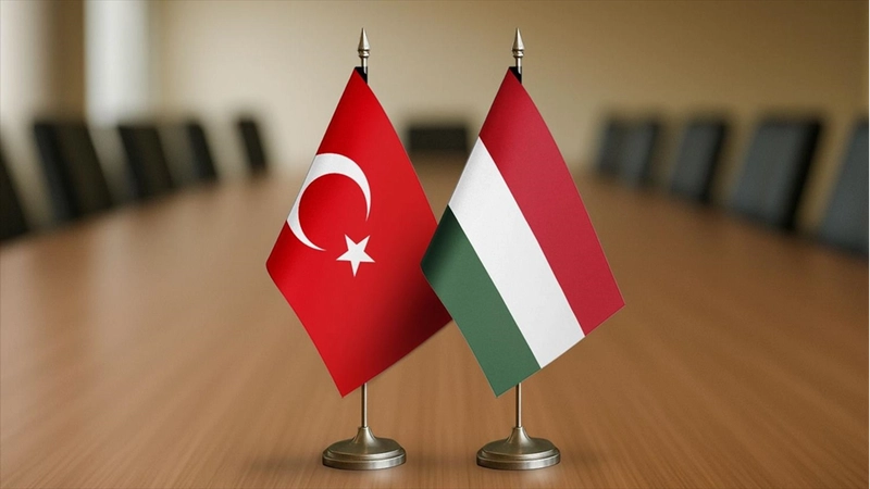 Türkiye-Macaristan Ortak İstişare Mekanizması