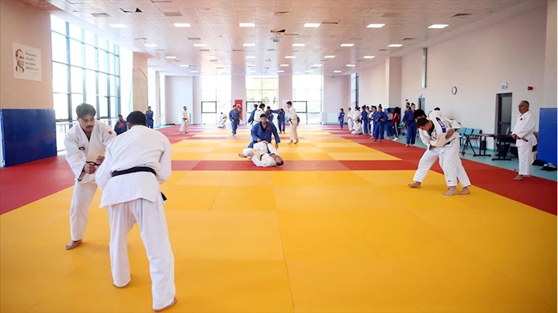 Judo Milli Takımı, 2028 Olimpiyatları