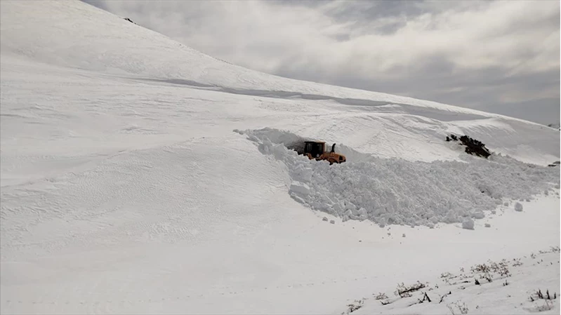 Hakkari