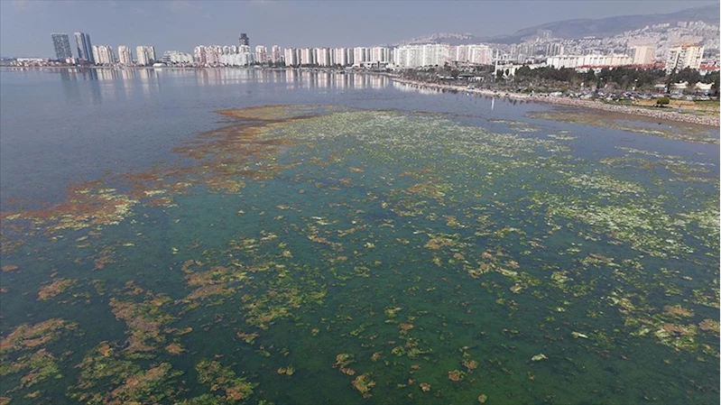 İzmir Körfezi