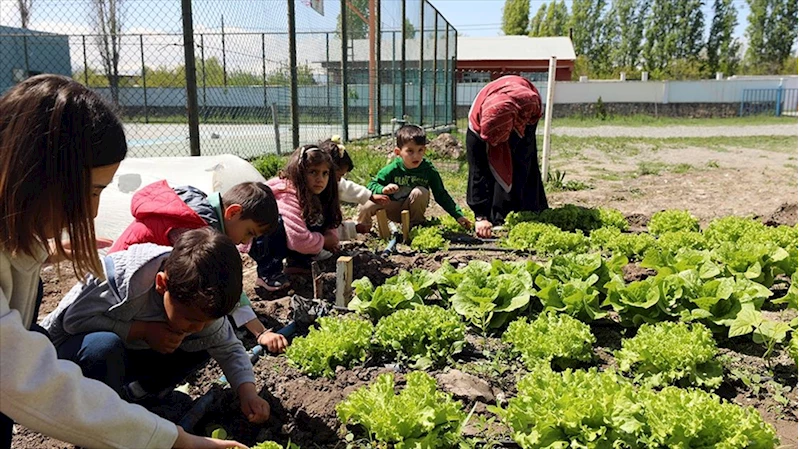Dijital bağımlılığa karşı projeyle öğrenciler tableti bıraktı toprağa sarıldı