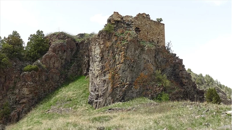 Kars