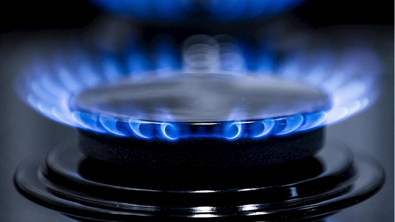 Doğal gaz dağıtımına 2024