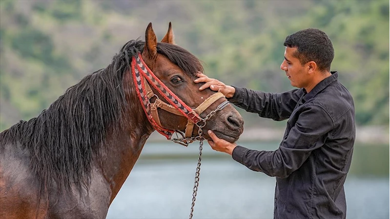 Rahvan atı 