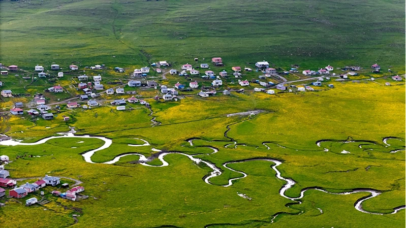 Ardahan