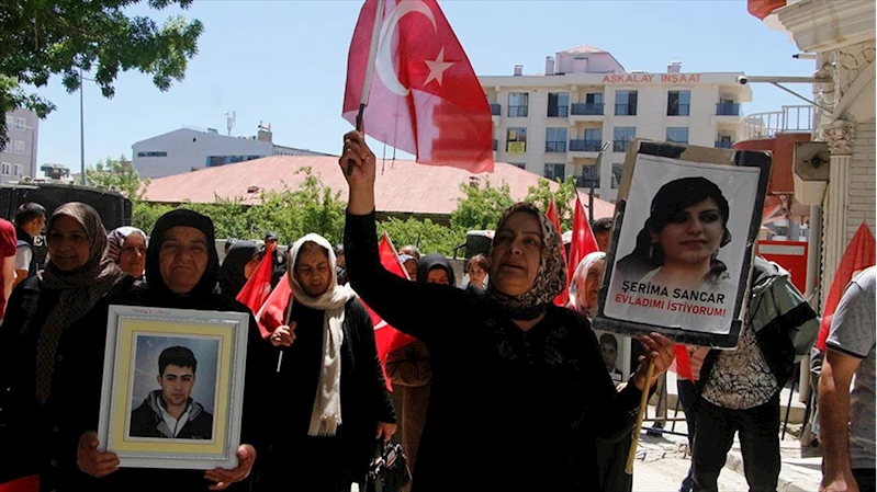 Vanlı aileler, DEM Parti İl Başkanlığı önündeki eylemlerini sürdürdü