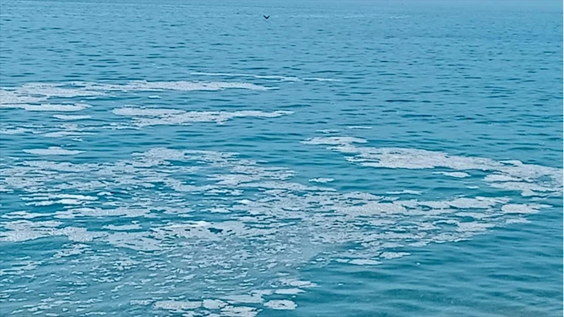 Yalova