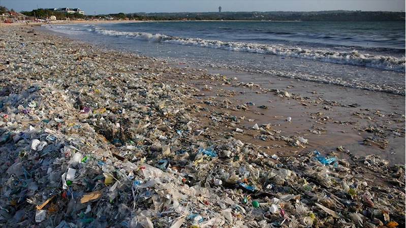 Plastik atıklar deniz canlılarını olumsuz etkiliyor 