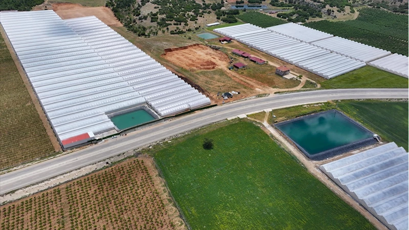 Seracılığın merkezi Elmalı