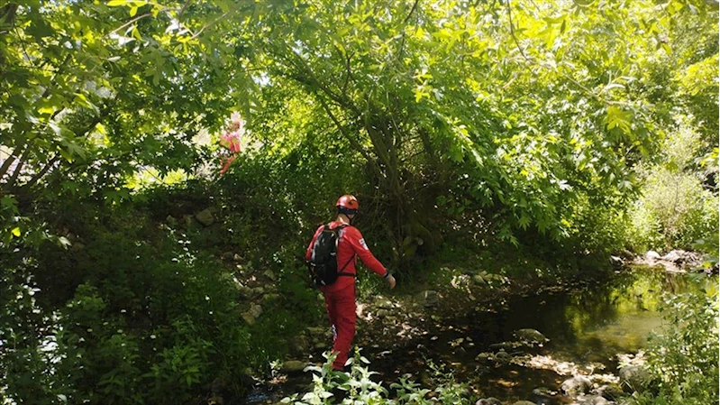 Bursa