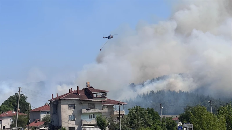 Bursa