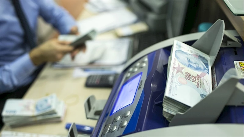 Reel efektif döviz kuru endeksi mayısta 71,11 oldu