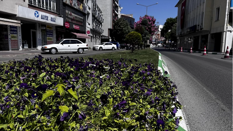Kent peyzajı iklim değişikliğinde etken rol oynuyor