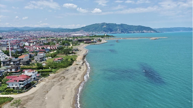 Ordu