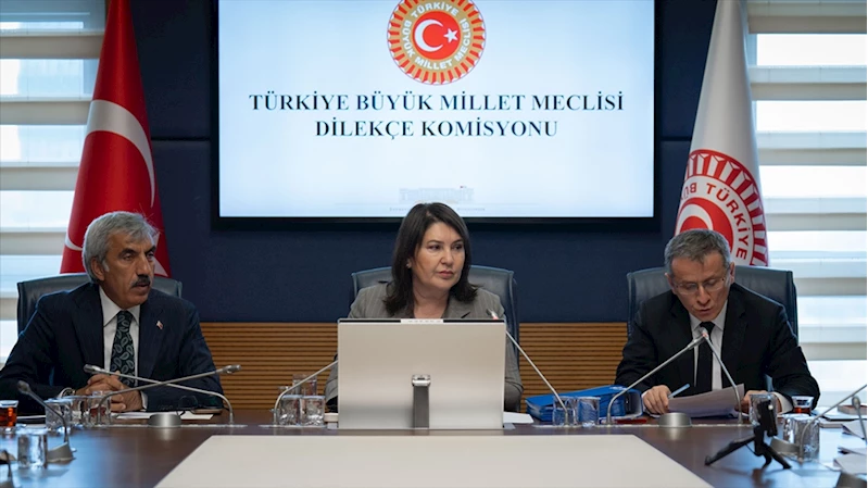 TBMM Dilekçe Komisyonu vatandaşların derdine çare oluyor