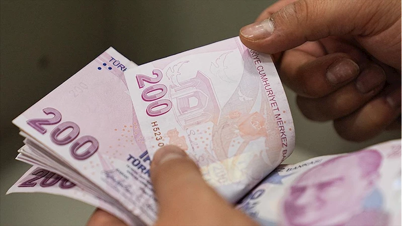 Temmuz ayı Sosyal ve Ekonomik Destek ödemeleri hesaplara yatırıldı