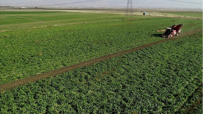 Pancar üreticilerine 2,5 milyar liralık avans ödemesi yapıldı