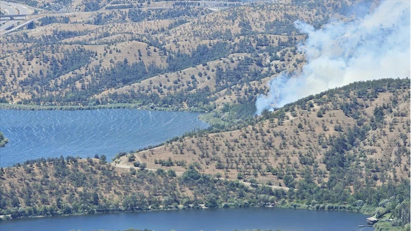 Eymir Gölü yakınlarındaki ormanlık alanda yangın çıktı