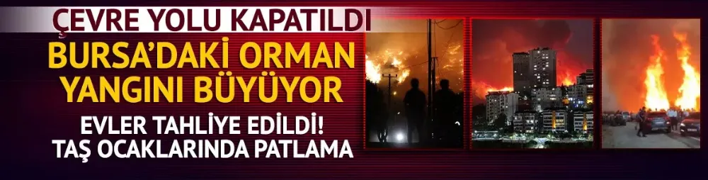 Bursa