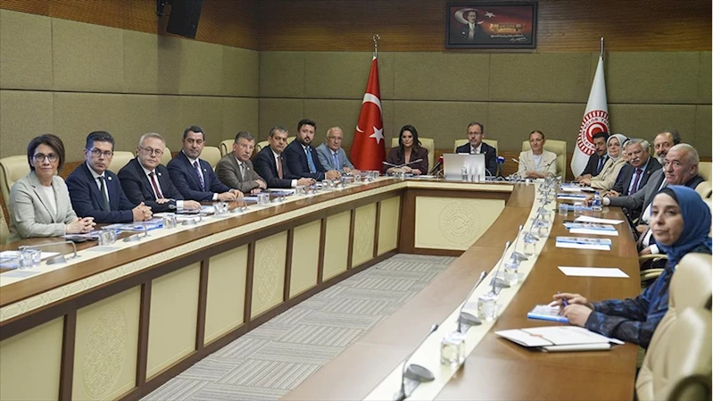 TBMM Engellilerin Sorunlarını Araştırma Komisyonu ilk toplantısını yaptı