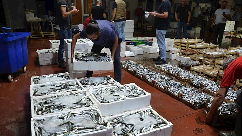 Kocaeli Ereğli Balık Hali