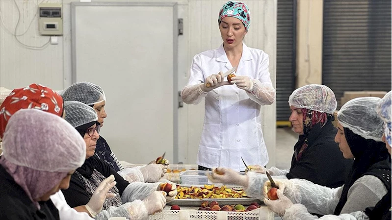 Depremzede kadın girişimci kuruttuğu meyve ve sebzelerle ihracata açıldı 