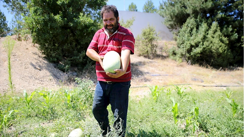 Yakınlarını kanserden kaybedince organik tarıma yönelerek üretici oldu