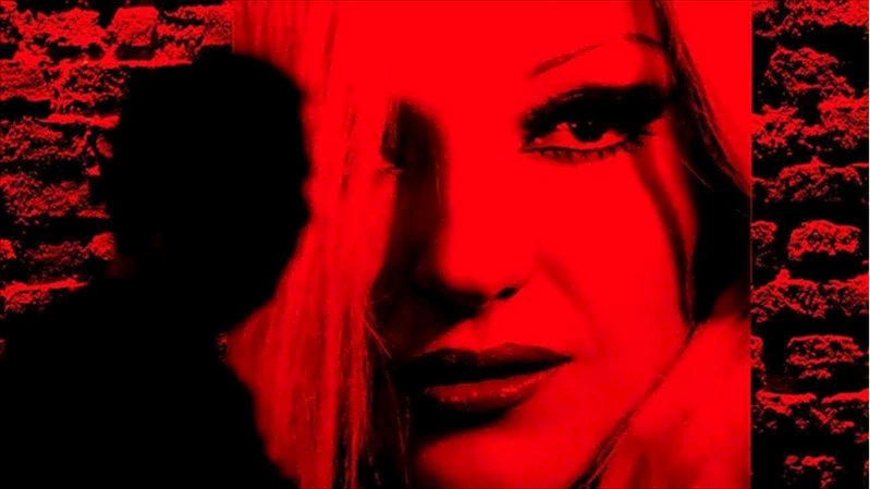 Türk pop müziğinin başarılı ismi: Ayla Dikmen
