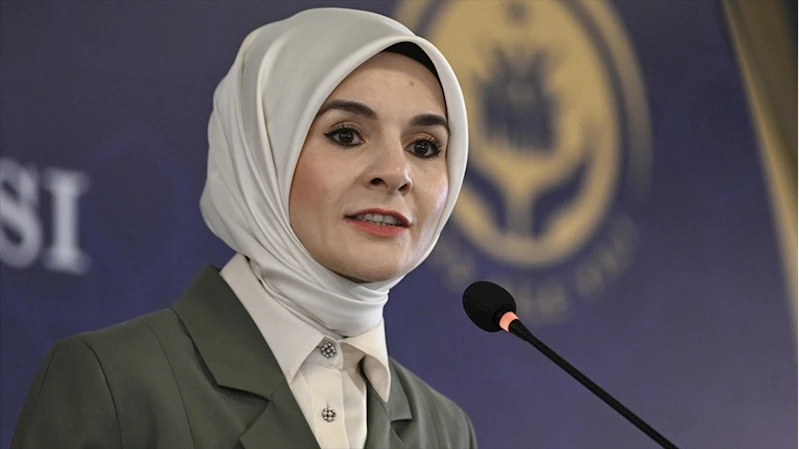 Bakan Göktaş, Kadına Yönelik Şiddetle Mücadele Toplantısı