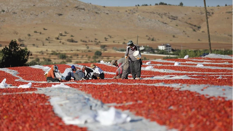 Elazığ
