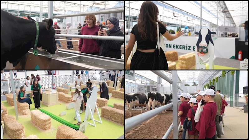 Gençler toprağa, çamura bulaşmadan yapılan 