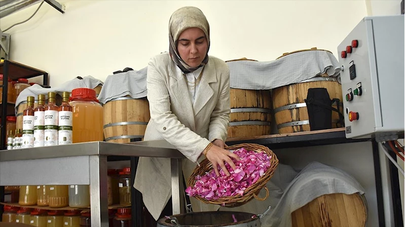 Doğal sirke üreten kadın girişimci birçok ülkeye ihracat yapıyor