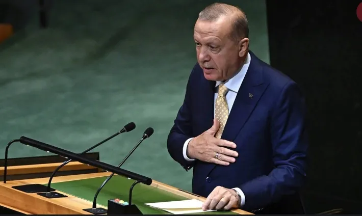 Erdoğan BM