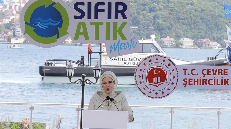 Küresel çevre hareketi 