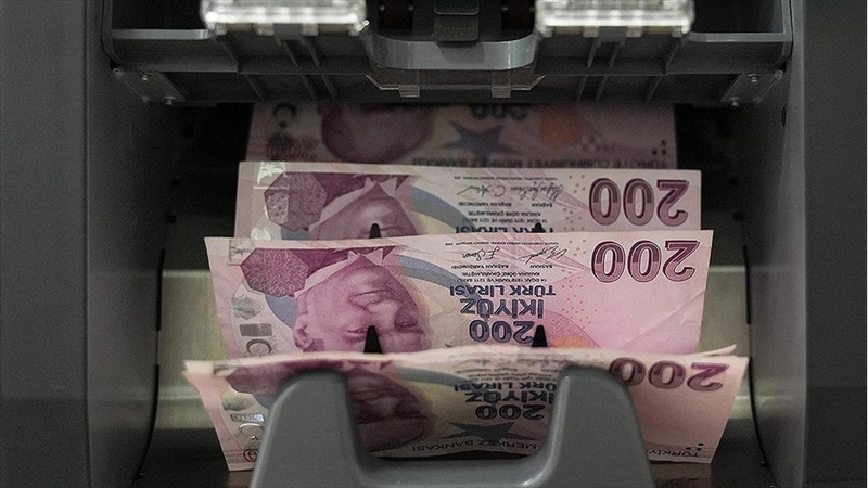 İş kurmak ve işini geliştirmek isteyenlere 2 milyon liraya kadar destek sağlanacak