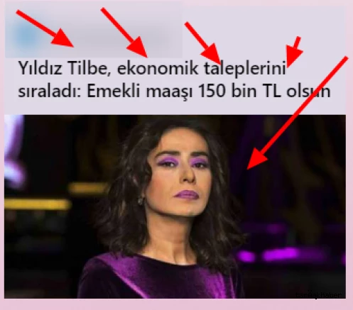 Yıldız Tilbe, ekonomik taleplerini sıraladı: Emekli maaşı 150 bin TL olsun